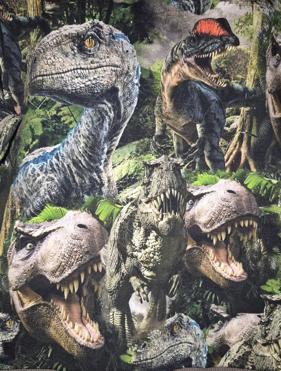 Džemperiukas dinozaurų mėgėjams — nuotrauka 3